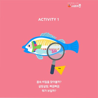 LAB51 뻐끔뻐끔 물고기야 안녕?(관찰,호흡,부력) 수업 사진