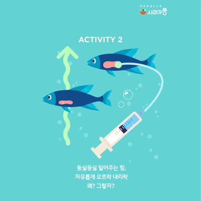 LAB51 뻐끔뻐끔 물고기야 안녕?(관찰,호흡,부력) 수업 사진